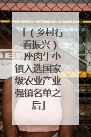 （乡村行·看振兴）一座肉牛小镇入选国家级农业产业强镇名单之后