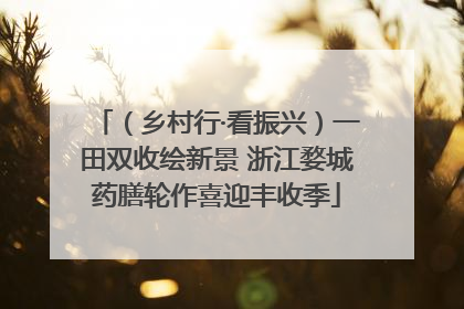 （乡村行·看振兴）一田双收绘新景 浙江婺城药膳轮作喜迎丰收季