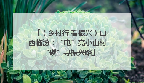 （乡村行·看振兴）山西临汾：“电”亮小山村 “碳”寻振兴路