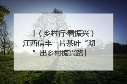 （乡村行·看振兴）江西信丰一片茶叶“沏”出乡村振兴路