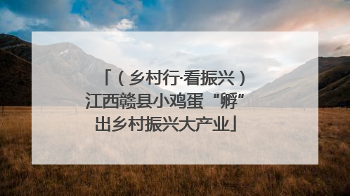（乡村行·看振兴）江西赣县小鸡蛋“孵”出乡村振兴大产业
