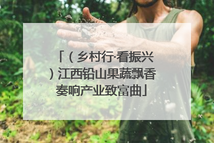 （乡村行·看振兴）江西铅山果蔬飘香 奏响产业致富曲