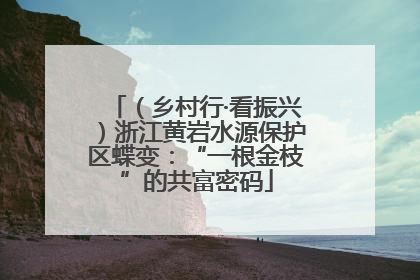 （乡村行·看振兴）浙江黄岩水源保护区蝶变：“一根金枝”的共富密码