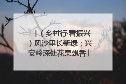 （乡村行·看振兴）风沙里长新绿：兴安岭深处花果飘香