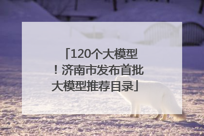 120个大模型！济南市发布首批大模型推荐目录