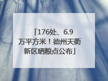 176处、6.9万平方米！德州天衢新区晒粮点公布