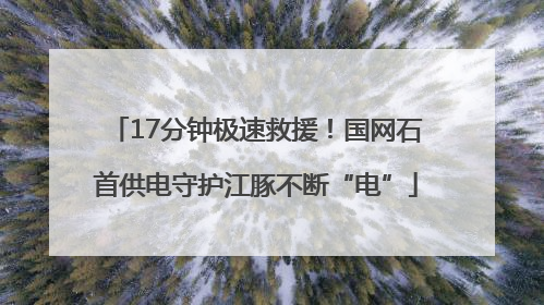 17分钟极速救援！国网石首供电守护江豚不断“电”