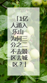 1亿人涌入乐山 为何三分之二不去景区去城区？