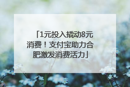 1元投入撬动8元消费！支付宝助力合肥激发消费活力