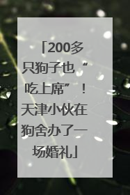 200多只狗子也“吃上席”！天津小伙在狗舍办了一场婚礼
