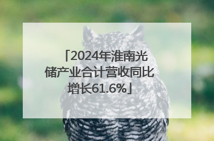 2024年淮南光储产业合计营收同比增长61.6%