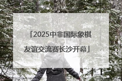 2025中非国际象棋友谊交流赛长沙开幕