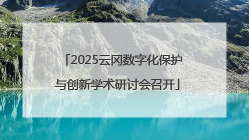 2025云冈数字化保护与创新学术研讨会召开
