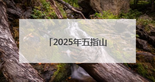 2025年五指山市第三届“桐林假日·老州府杯”足球比赛圆满落幕