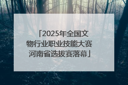 2025年全国文物行业职业技能大赛河南省选拔赛落幕