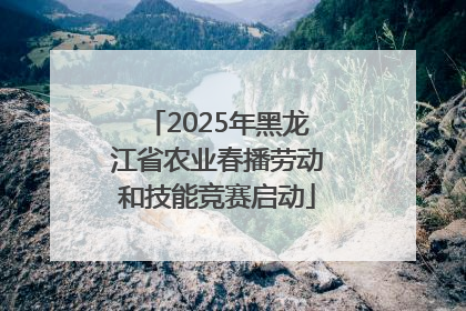 2025年黑龙江省农业春播劳动和技能竞赛启动