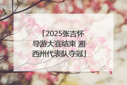 2025张吉怀导游大赛结束 湘西州代表队夺冠