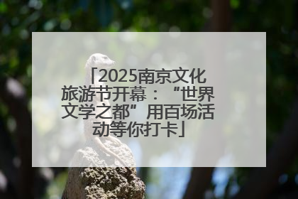 2025南京文化旅游节开幕：“世界文学之都”用百场活动等你打卡