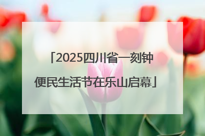 2025四川省一刻钟便民生活节在乐山启幕