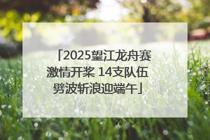 2025望江龙舟赛激情开桨 14支队伍劈波斩浪迎端午