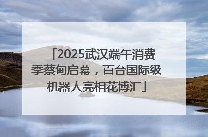 2025武汉端午消费季蔡甸启幕，百台国际级机器人亮相花博汇