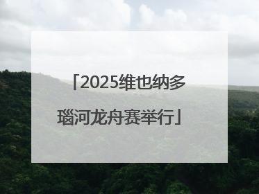 2025维也纳多瑙河龙舟赛举行