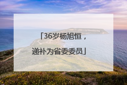 36岁杨旭恒，递补为省委委员