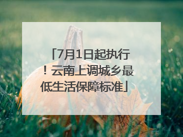 7月1日起执行！云南上调城乡最低生活保障标准