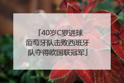 40岁C罗进球 葡萄牙队击败西班牙队夺得欧国联冠军