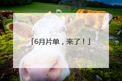 6月片单，来了！