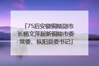 75后安徽铜陵副市长杨文萍履新铜陵市委常委、枞阳县委书记