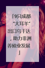 9只成都“大耳羊”出口乌干达，助力非洲养殖业发展